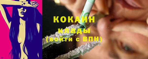 ПСИЛОЦИБИНОВЫЕ ГРИБЫ Алексеевка