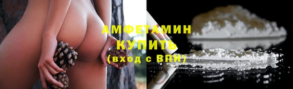 СК Алзамай