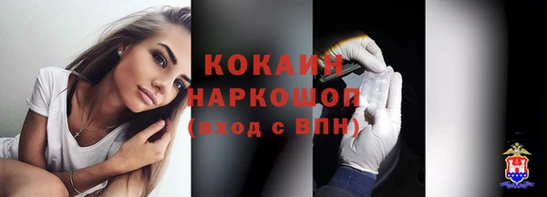 СК Алзамай