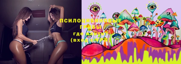 ПСИЛОЦИБИНОВЫЕ ГРИБЫ Алексеевка