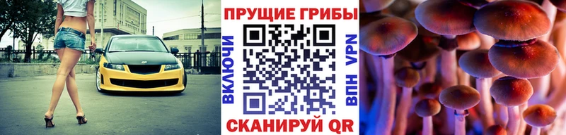 цена   Красноярск  Псилоцибиновые грибы ЛСД 